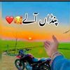 🌾🌾پنجابی کلچر🌿🪴