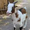 tobias.zimmermann88