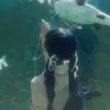 nonamiss8