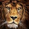 mouhamad.jaafar2