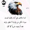 user13551990058463