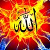 abdirizaaq81