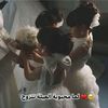 Ghada Dream