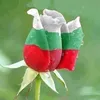 dora.ivanova270