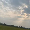 taolavq_dua
