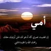 أحمد عبد الرؤف المزيكي