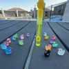 the.officialduckcouncil