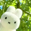 leyu_y11