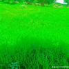 user22179269008