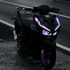 dizz_135