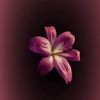 unknown_22206