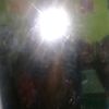 dafinameila320