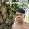 hendry.yanto29