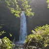 saku_2208