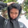 apisw_pis