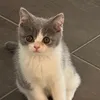 catwomann69