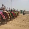 mansor7642