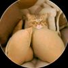 hendrass91