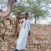 user3730075778416