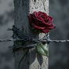 user1750875349099