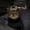 meow02736