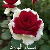 user9081296162928