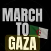 free.palestine5740