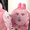 pinkeucsttle
