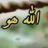 user921500728