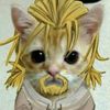 catfinn8