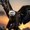 user131110908612767