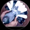 user862420961905