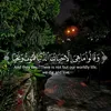 amjad76071