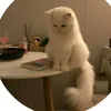 qwertyhttps3