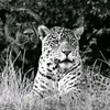 jmwjoll206