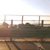 criviolafabio__lamiavita