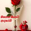 wasanthi.dahanaya