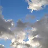 nomeconocesloll5
