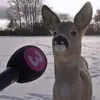 UnicornsRreal