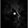 maryam.mohamad6740