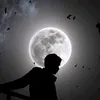 amirali26094