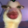 kaye.tenaja