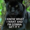intelligent.hoodl8