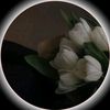 ayeshy.gull454