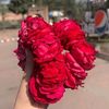 amna.jatoi95