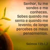 user9287600106907