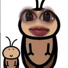 gkeeni11
