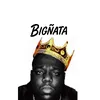 BIGÑATA