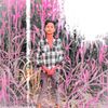 bhojpuriya.raja66