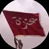 b_a_q_r11